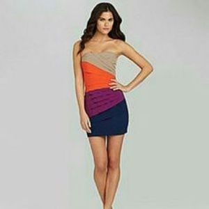 Fitted Formal/Homecoming Dress